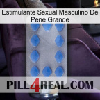 Big Penis Male Sexual Stimulant 21